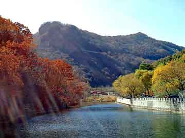 澳门二四六天天彩图库，牧神收割机